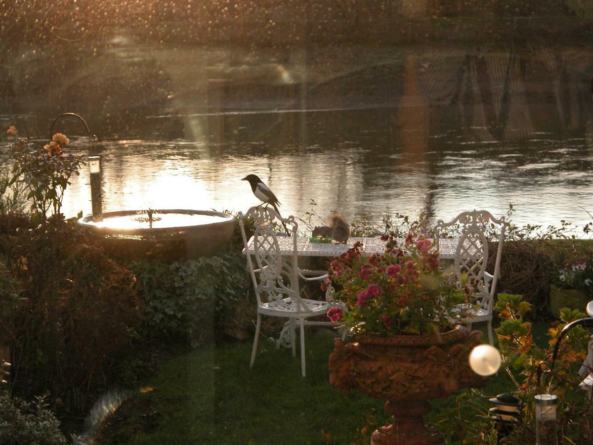 Couette-café Chiswick Riviera With Free Parking *